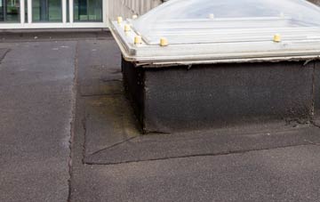 disadvantages of Browninghill Green flat roofs